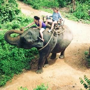 Meet your Posher, Molly